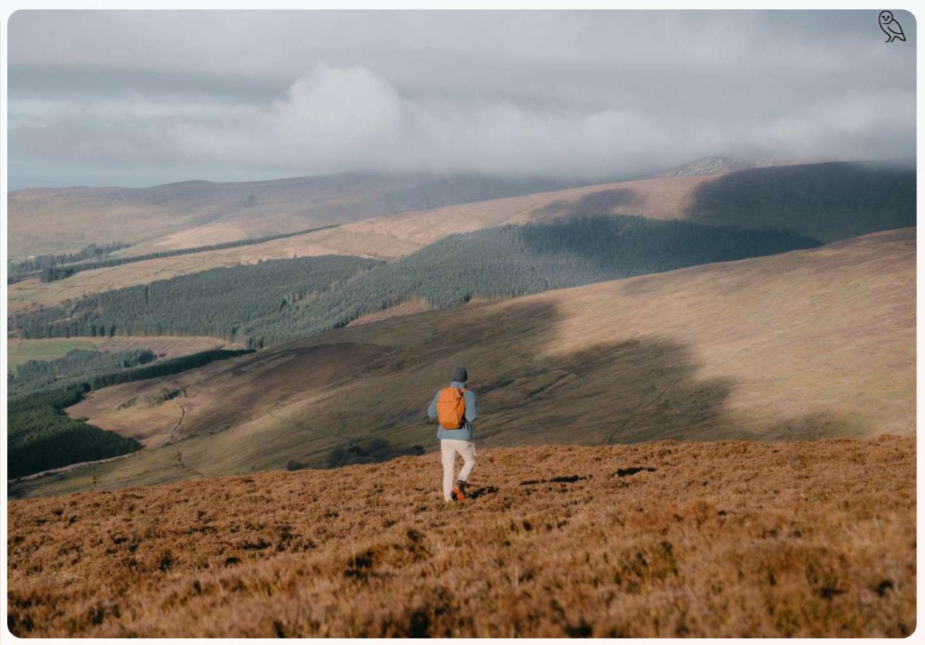 EcoPlum Shines a Spotlight on its B Corp Suppliers: Bellroy from Down Under