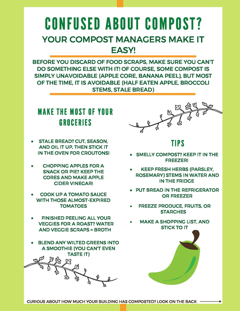 An infographic created for Skidmore College by EcoPlum intern Abby Grayburn